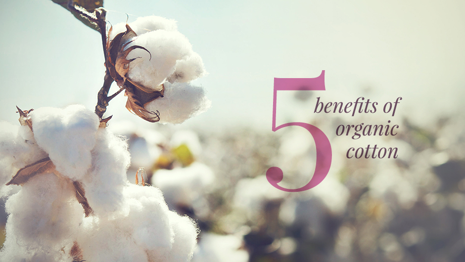 Five benefits of organic cotton