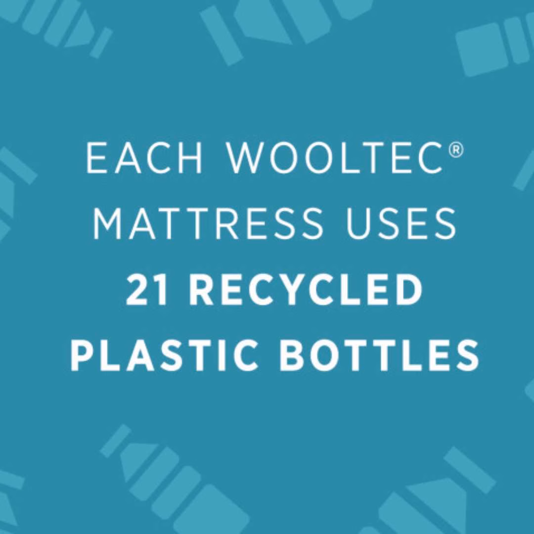 Wooltec eco