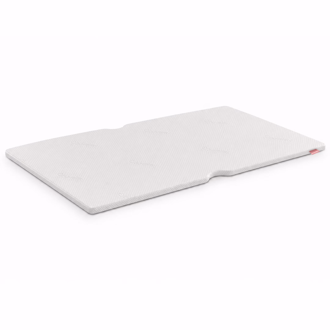 Tentbox essentials cutout
