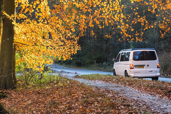 Autumn road trip
